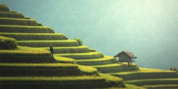 Life presenta sus productos en China