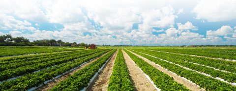 <span class="grande">60 AÑOS</span></br> Contando una historia